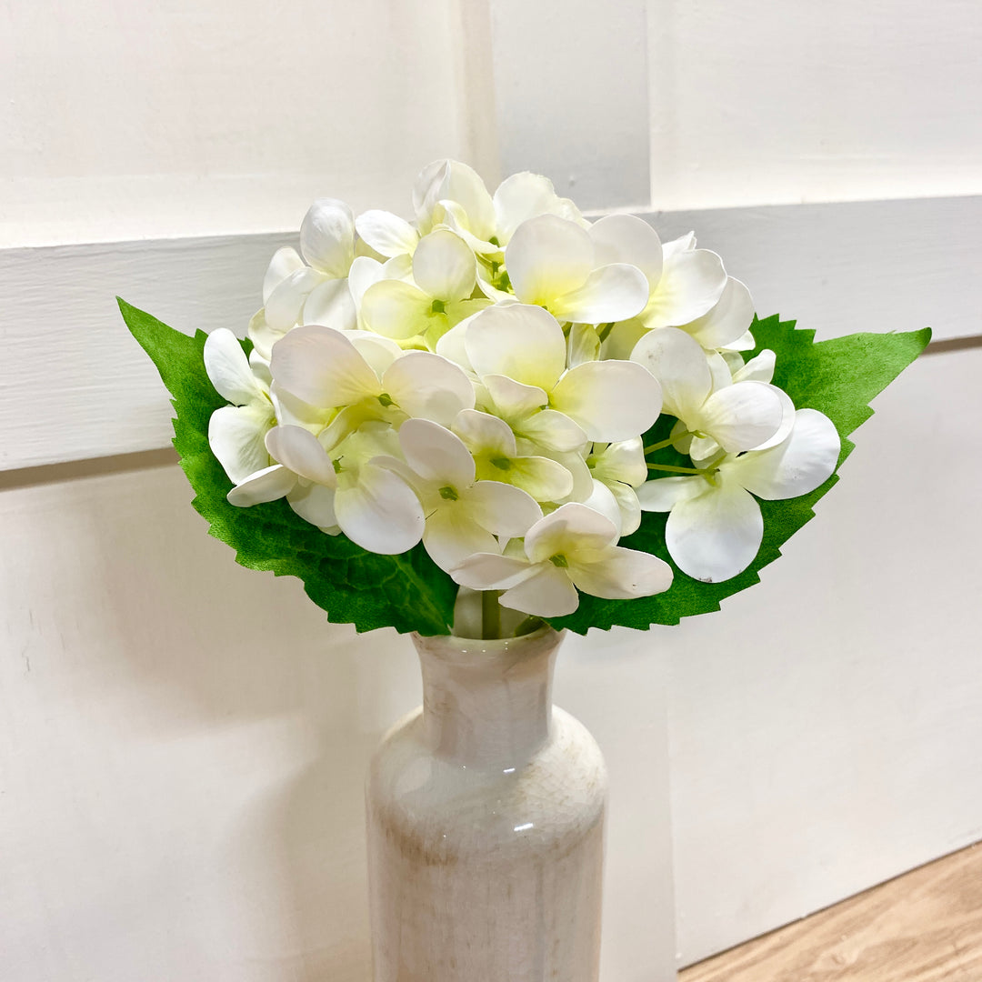 Spring Hydrangea Stems