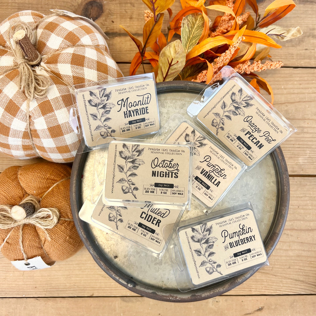 Fall Prairie Girl Candles & Wax Melts