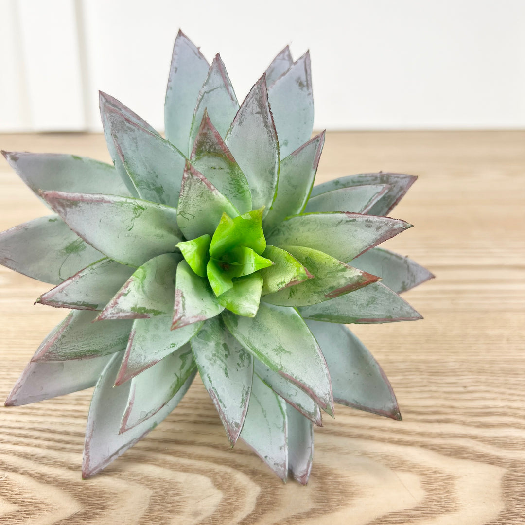 Star Succulent Pick