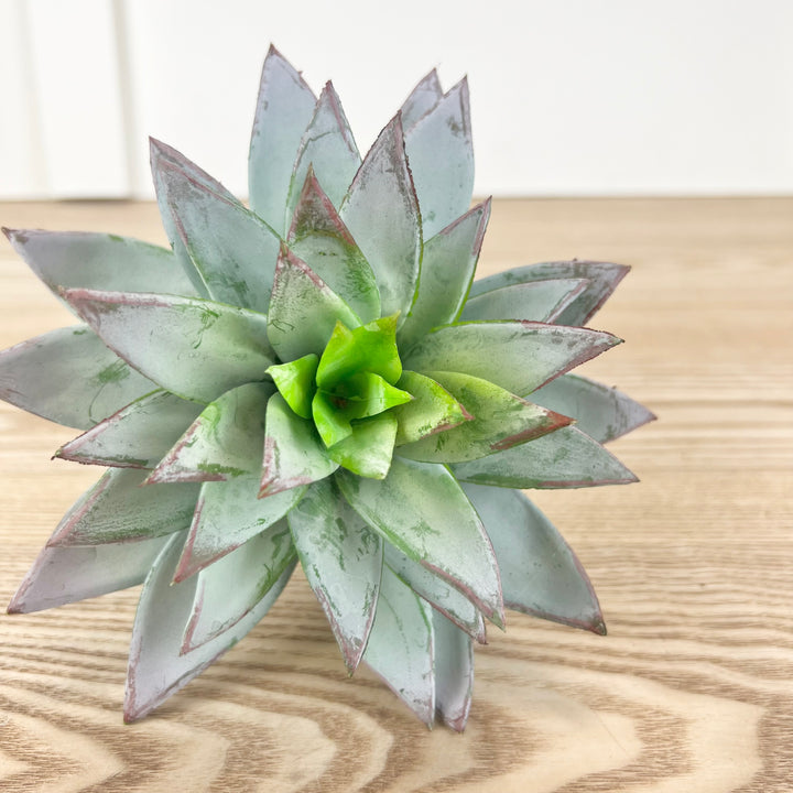 Star Succulent Pick