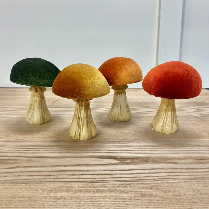 Velvet Mushrooms