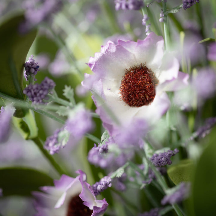 Wispy Daisy Bush, two colors