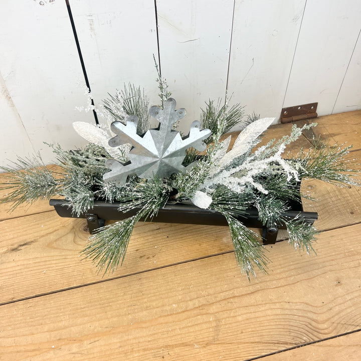 Frosted Winter Stem