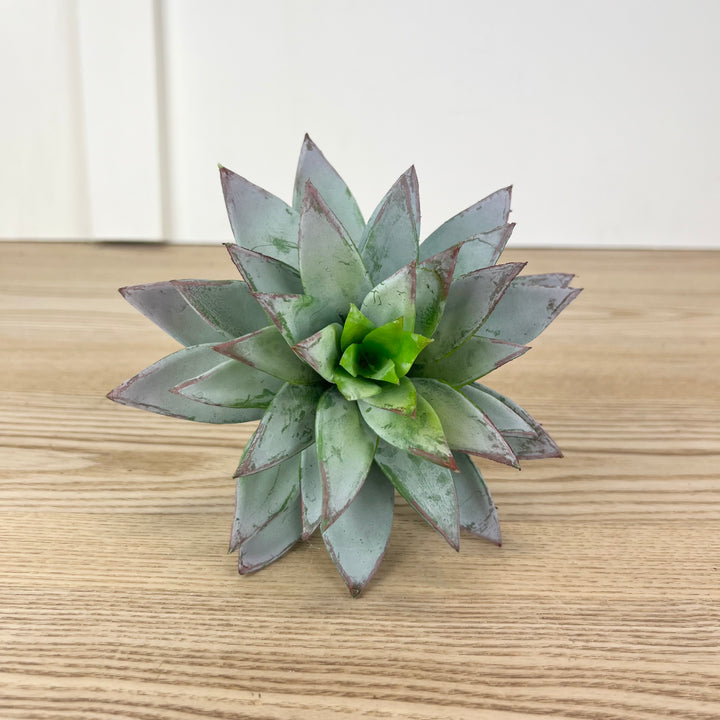 Star Succulent Pick