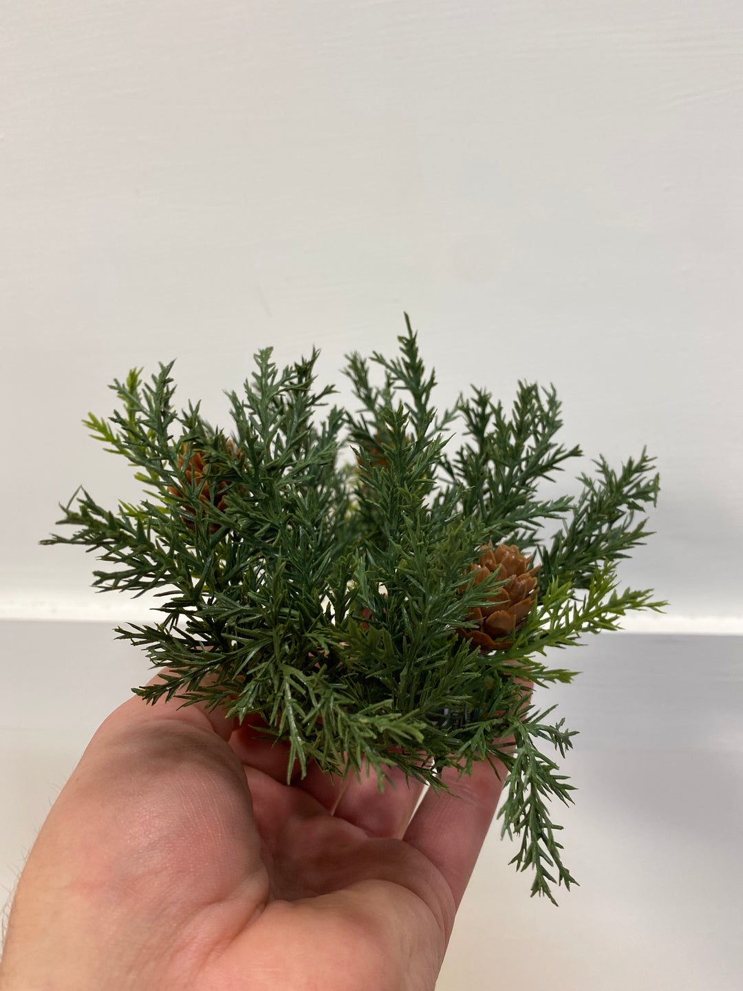 1.25" Frosted Arborvitae Candle Ring