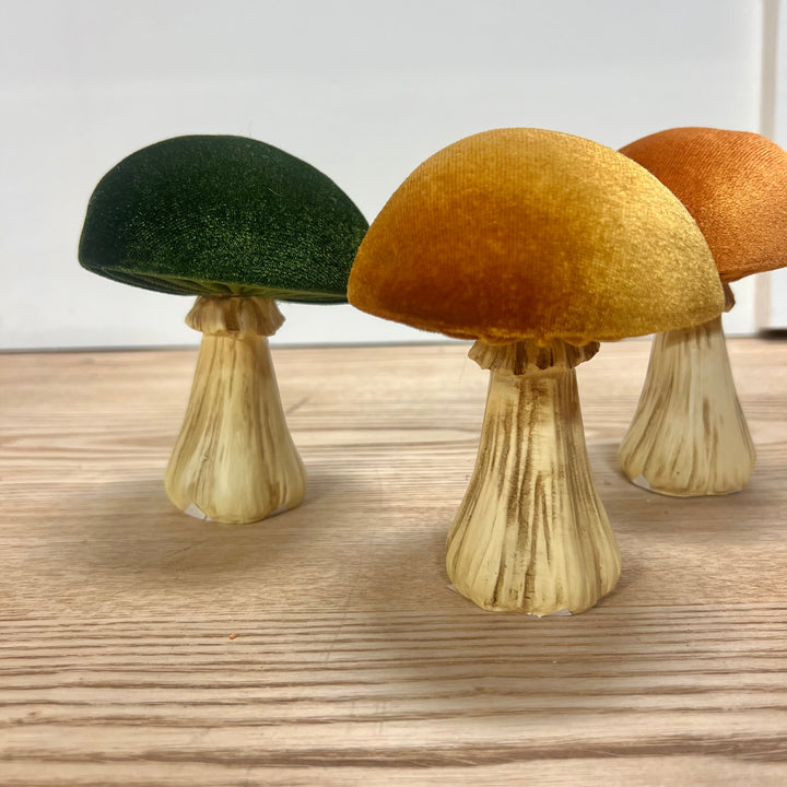 Velvet Mushrooms