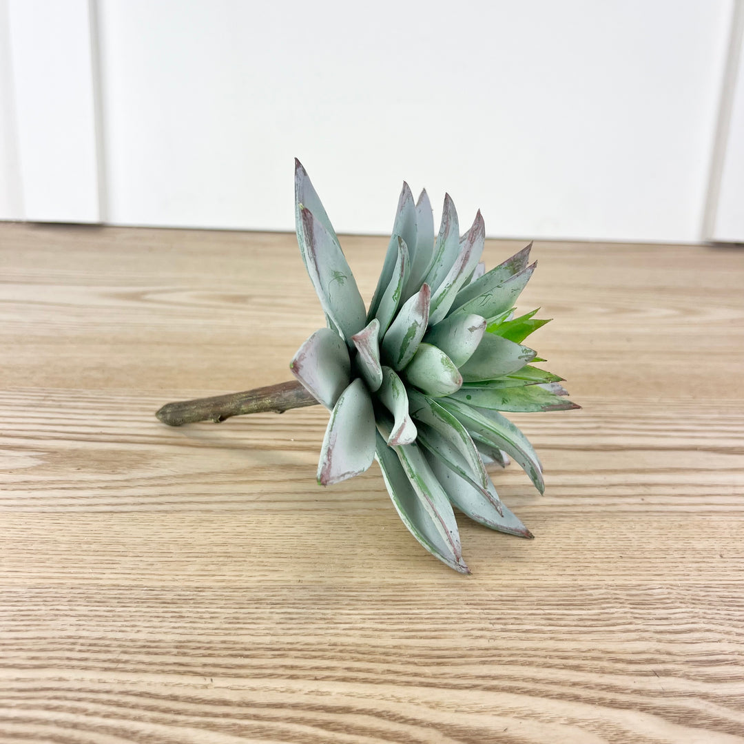 Star Succulent Pick