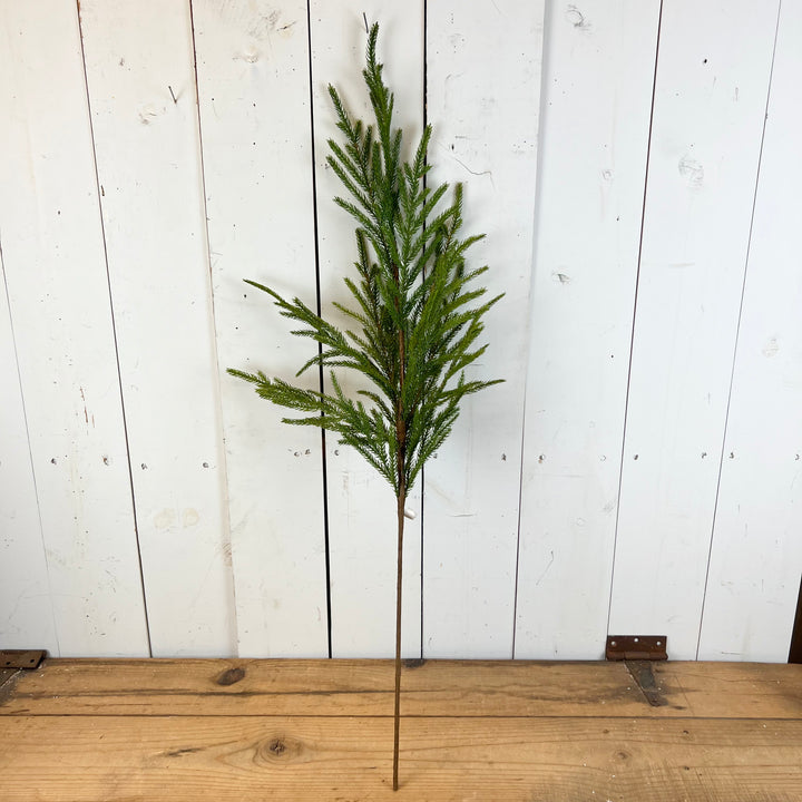 Real Feel Norfolk Pine Collection