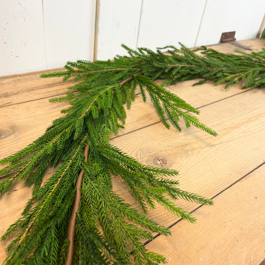 Real Feel Norfolk Pine Collection