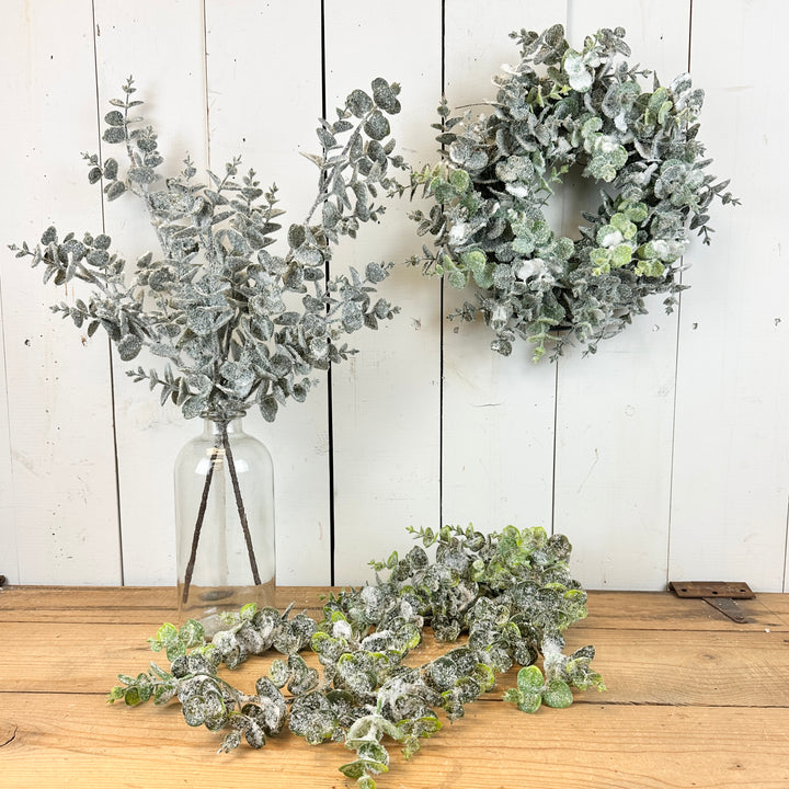 Snowy Eucalyptus Collection