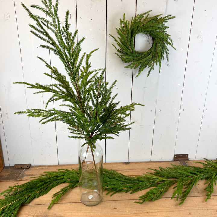 Real Feel Norfolk Pine Collection