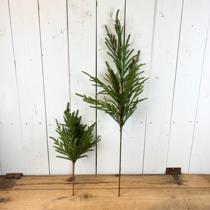 Real Feel Norfolk Pine Collection