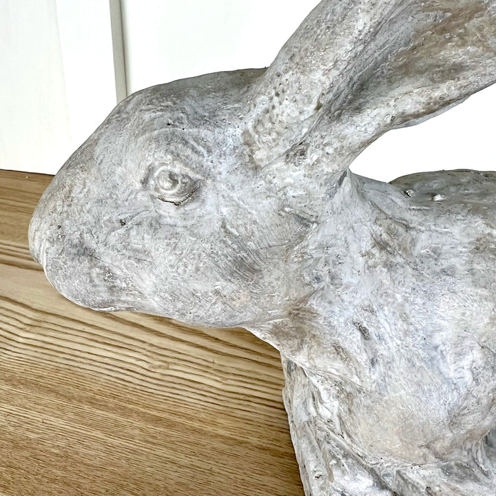 Cement Rabbit Head