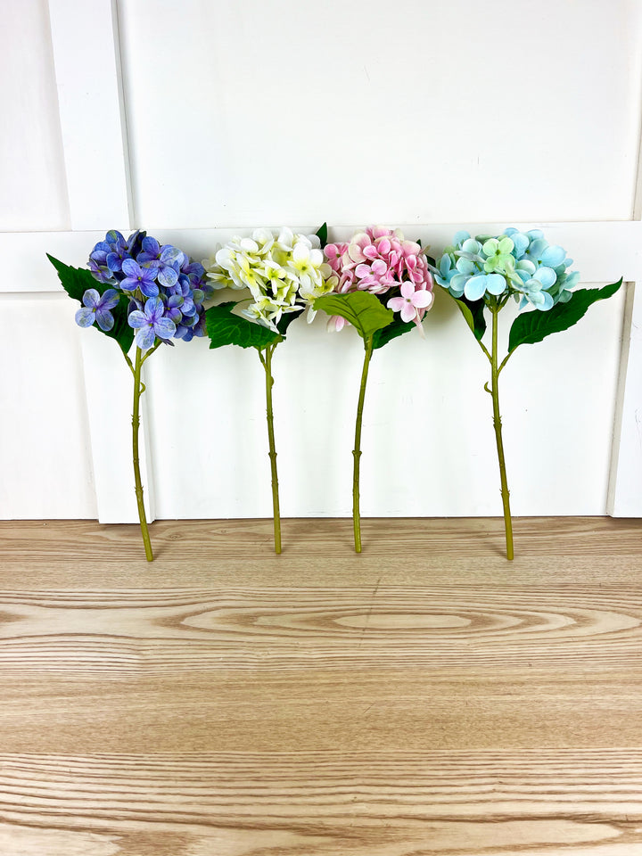 Spring Hydrangea Stems