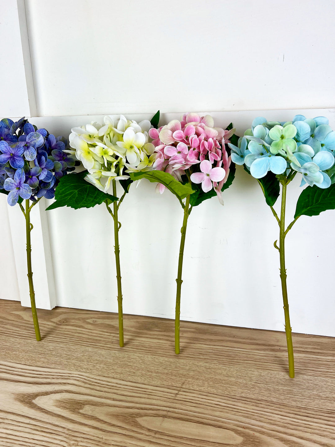 Spring Hydrangea Stems