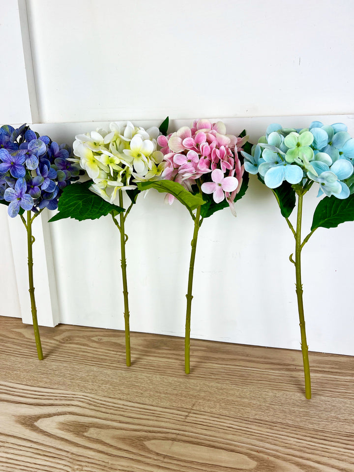 Spring Hydrangea Stems