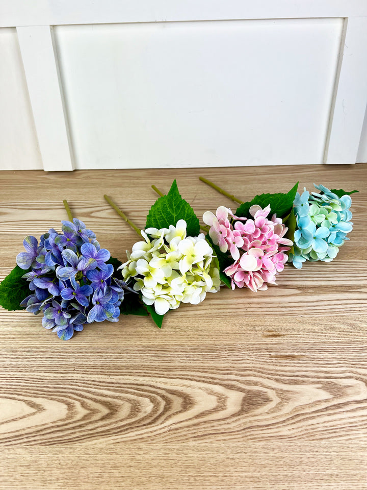 Spring Hydrangea Stems