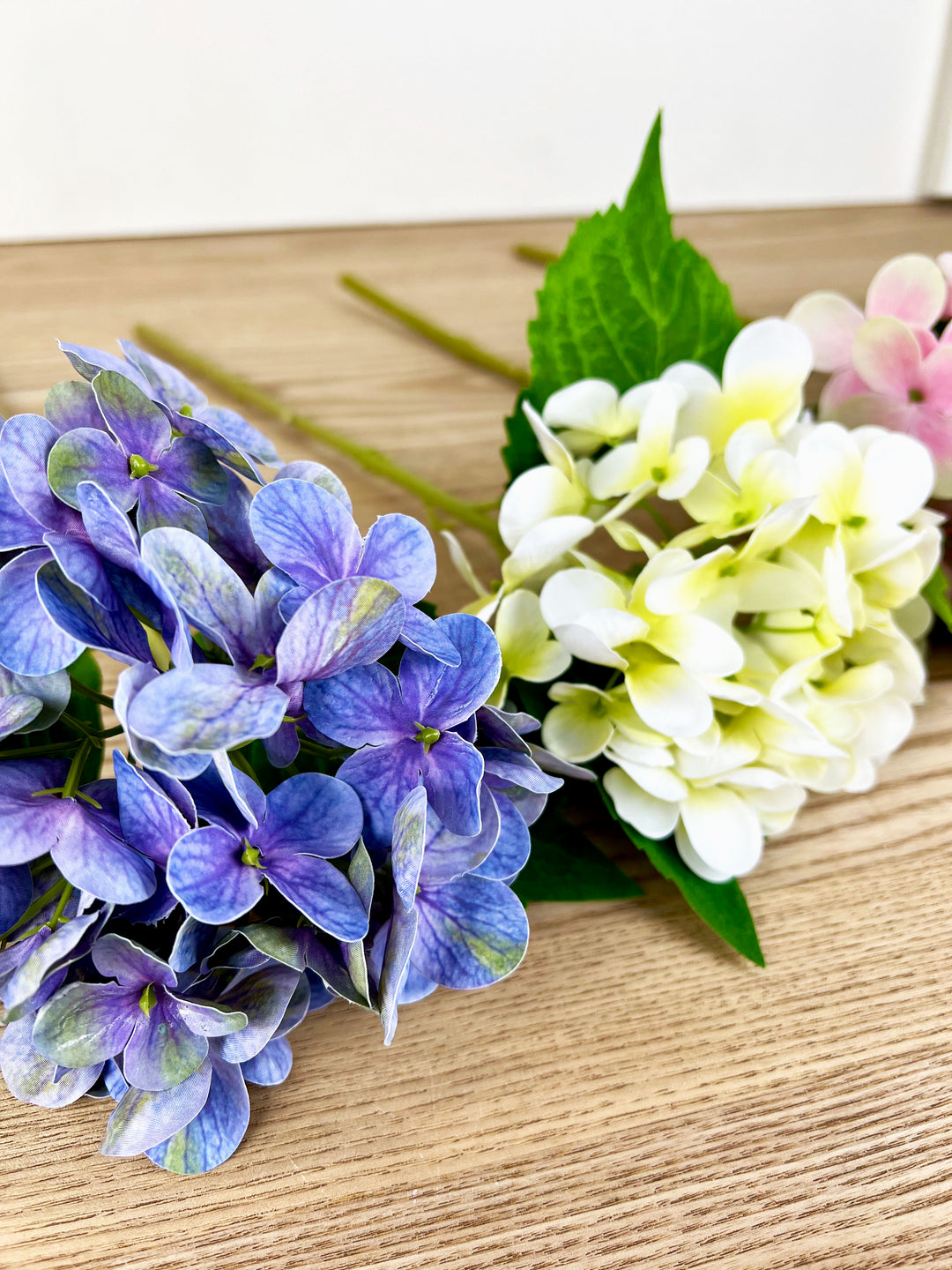 Spring Hydrangea Stems