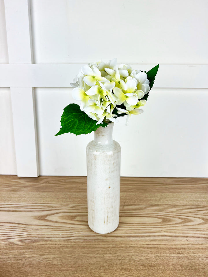 Spring Hydrangea Stems