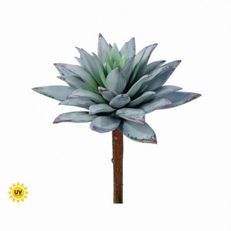 Star Succulent Pick