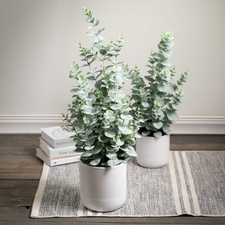 Textured White Ceramic Planter