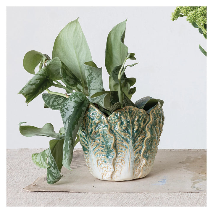 Cabbage Leaf Pot