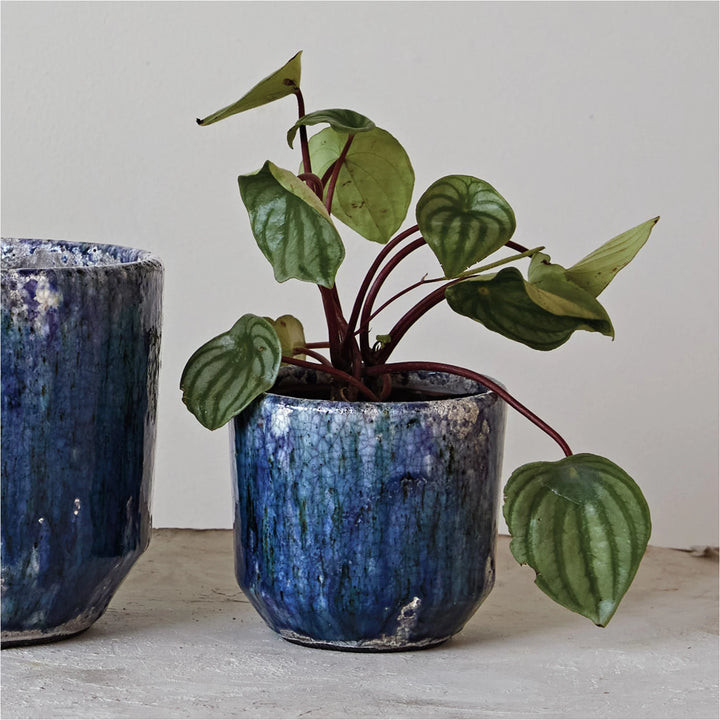 Blue Decorative Terracotta Planter