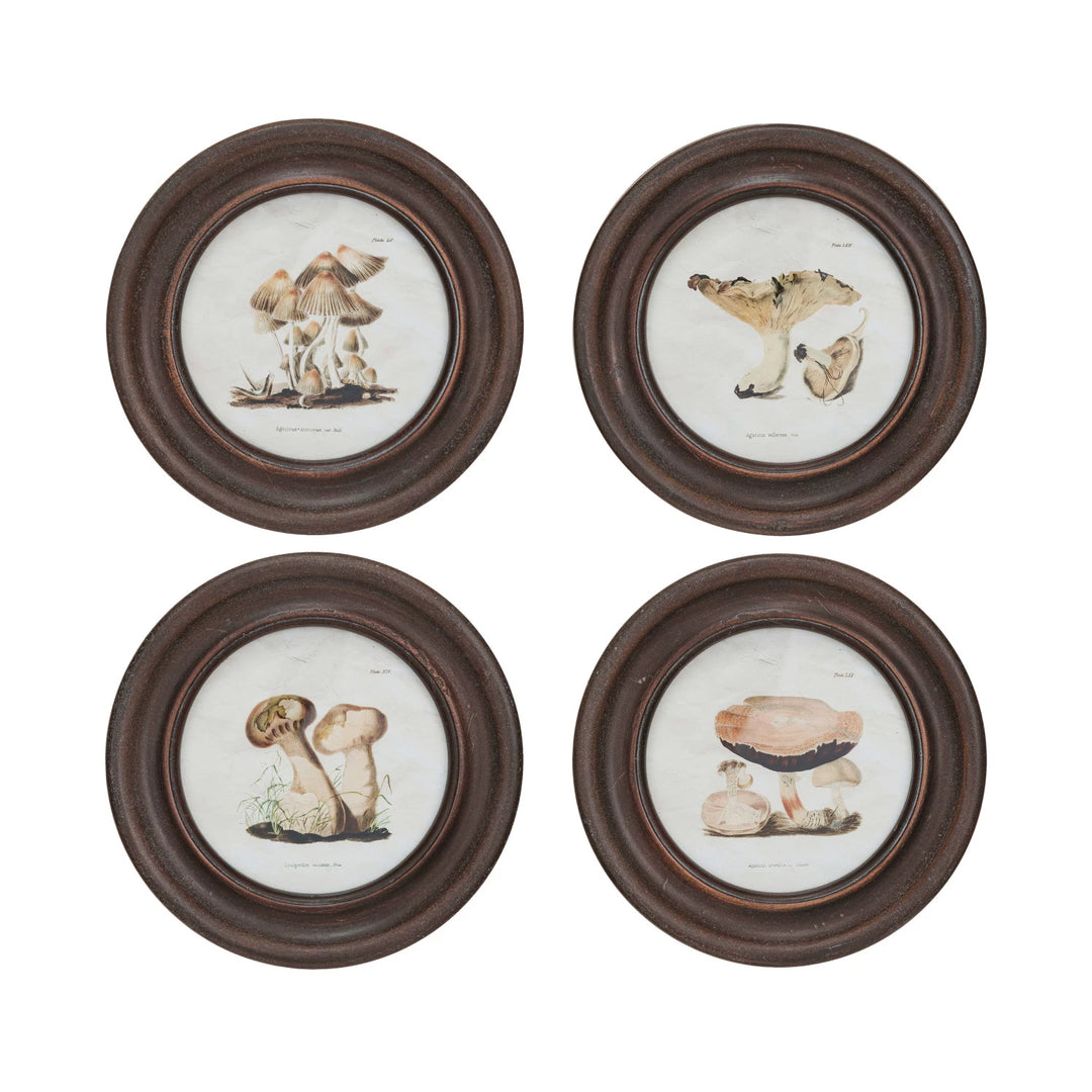 Framed Vintage Reproduction Wall Décor w/ Mushrooms Image, 4 Styles