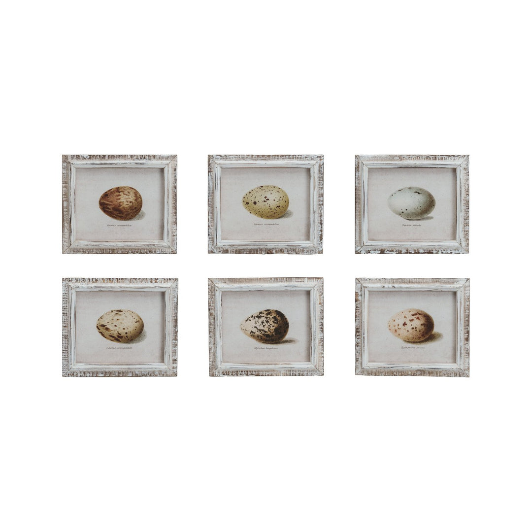 Wood Framed Glass Wall Décor w/ Vintage Reproduction Egg Print, 6 Styles