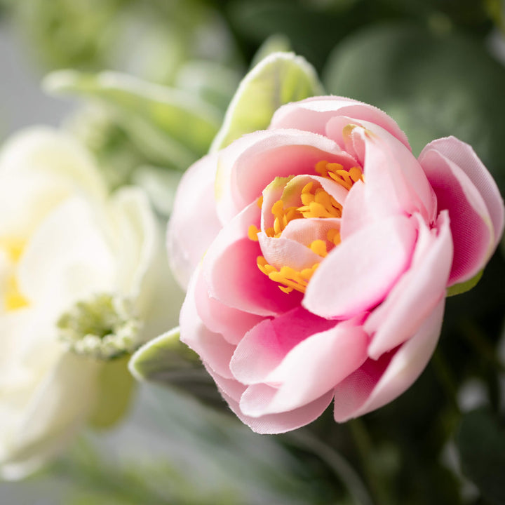 Ranunculus Mini Blossom Collection