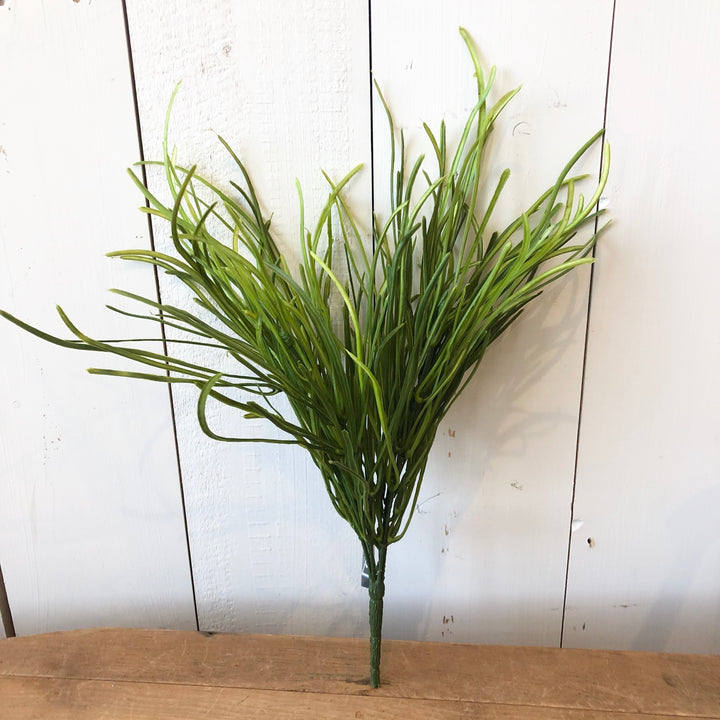 Short Pearl Grass