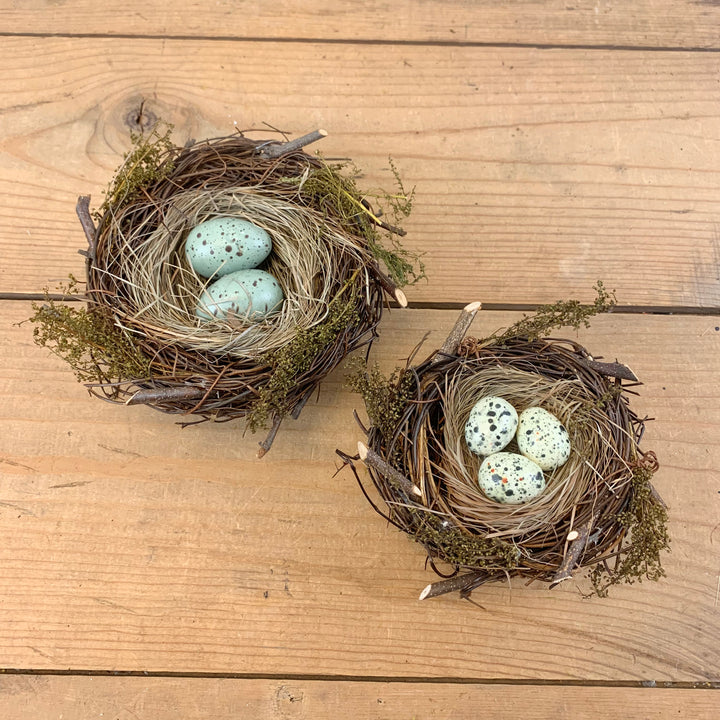 Bird Nests