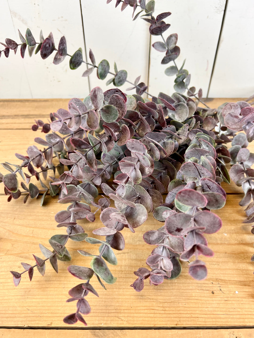 Burgundy Eucalyptus Bundle