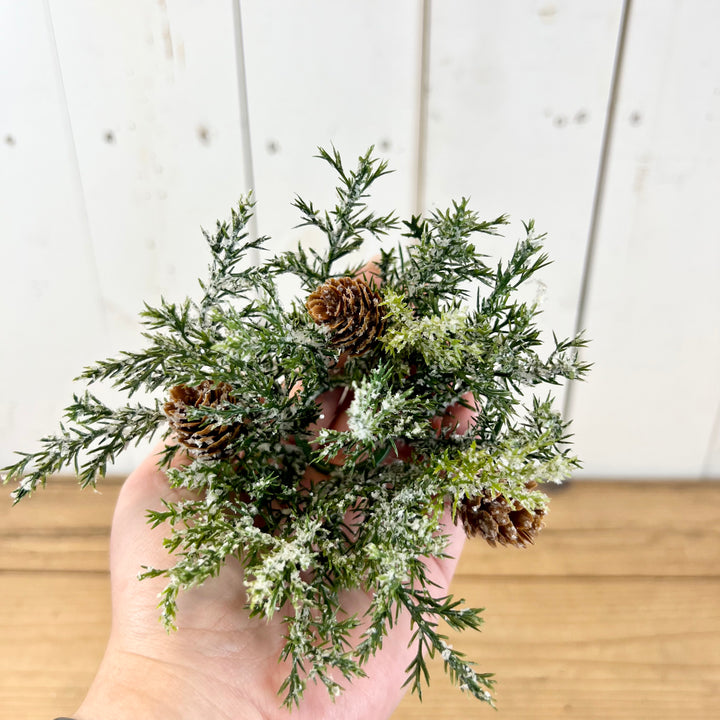 1.25" Frosted Arborvitae Candle Ring