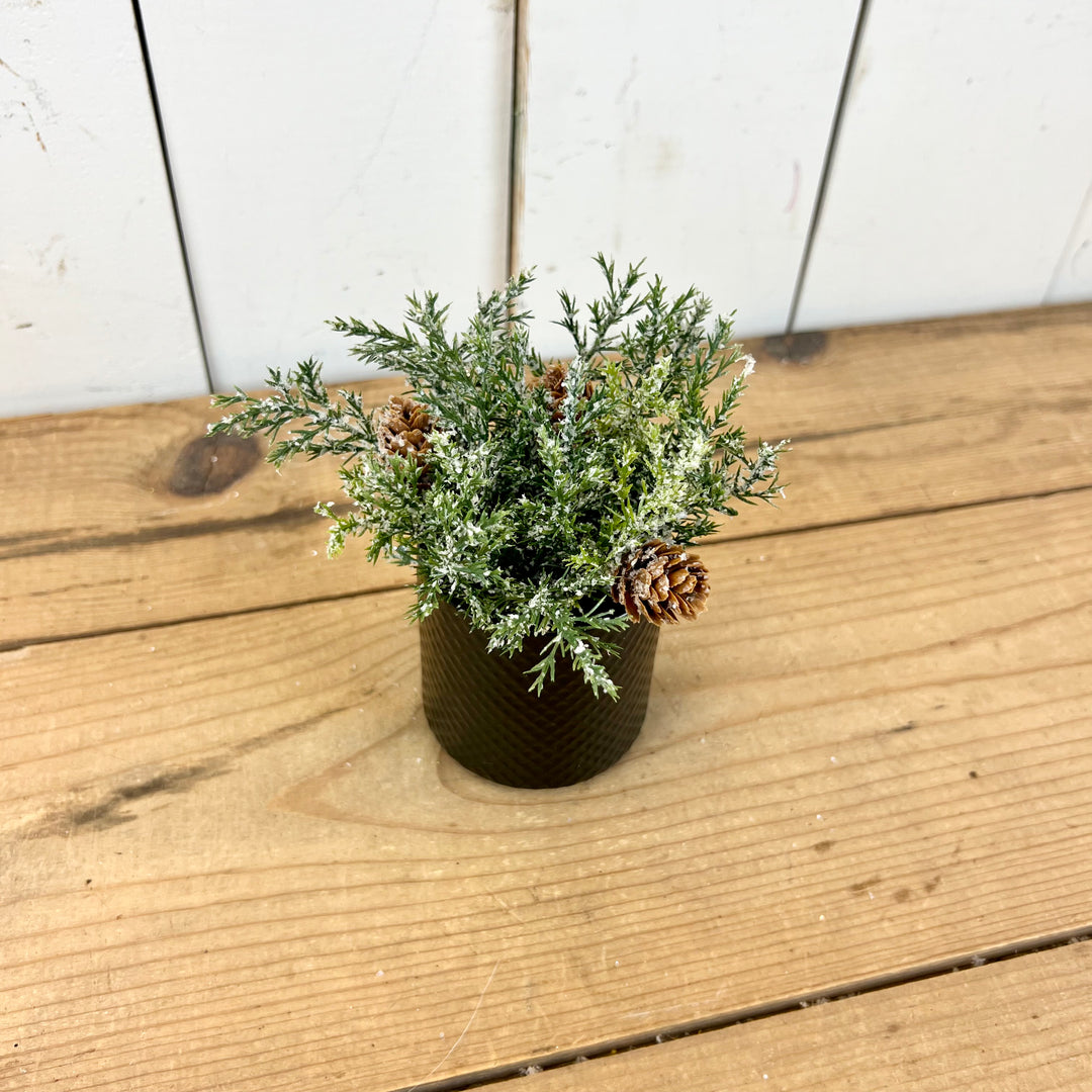 1.25" Frosted Arborvitae Candle Ring