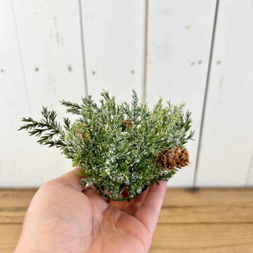 1.25" Frosted Arborvitae Candle Ring