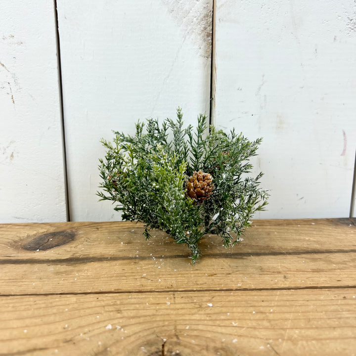 1.25" Frosted Arborvitae Candle Ring