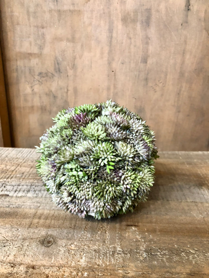 Succulent Orb