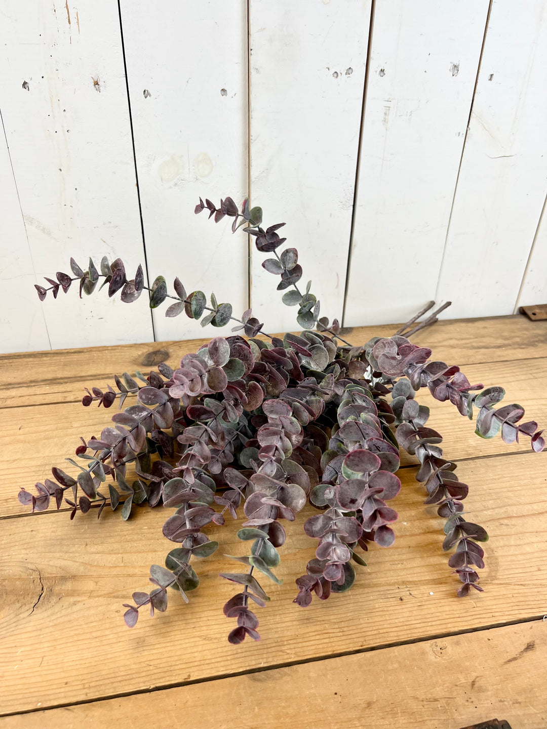 Burgundy Eucalyptus Bundle